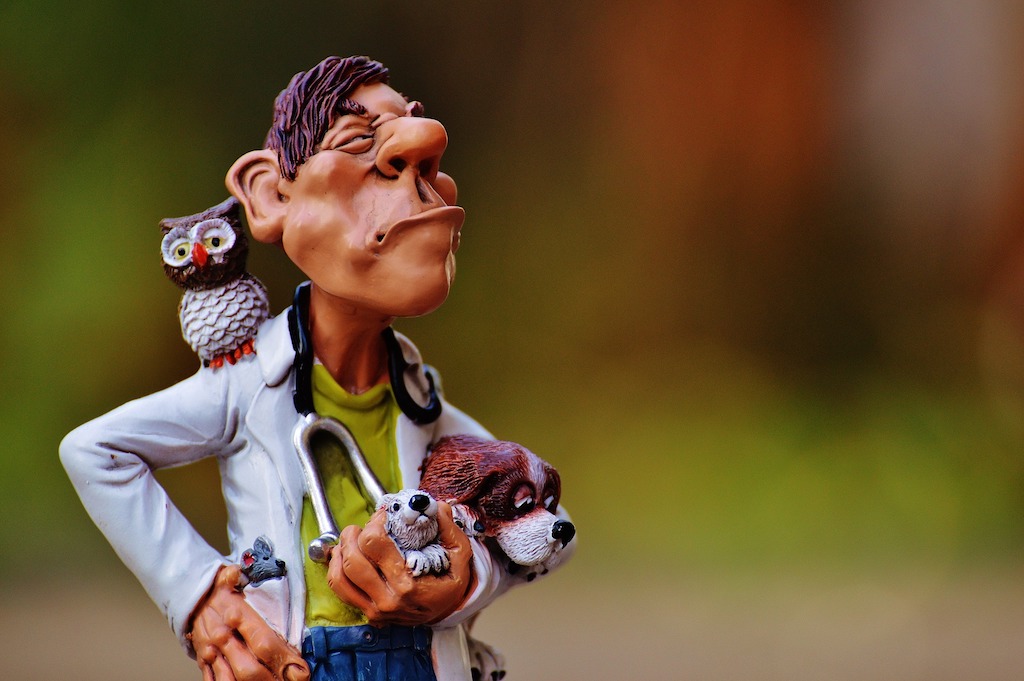 Dierenarts