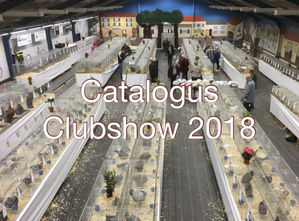 Cover catalogus 2018